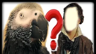 НА КАКОГО ПИСАТЕЛЯ ПОХОЖ НАШ ПОПУГАЙ ЖАКО ПЕТРУНЯ?🤗Funny video about a parrot