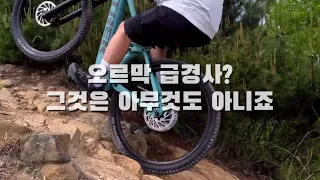 현시점 기술적으로 가장 진화한 자전거 | 전기자전거