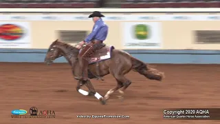 2020 AQHA Junior Working Cow Horse