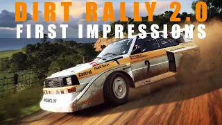 Why DiRT Rally 2.0 is NOT for everyone | A Tribe Called Cars