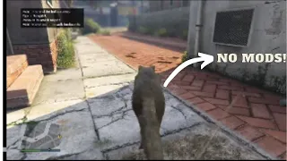 Tutorial: How To Become An Animal In GTA Online (*NO MODS*)