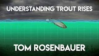 Understanding Trout Rises with Tom Rosenbauer