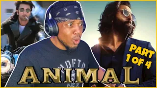 Animal (2023).. [ Part 1 of 4 ] Ranbir Kapoor * FIRST TIME WATCHING */ MOVIE REACTION!!!