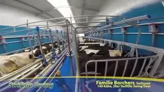 Dairymaster Schnellaustrieb & Swing Over Melkstand
