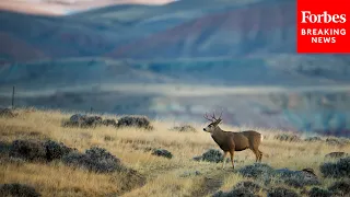 Senate Energy And Natural Resources Committee Holds Hearing On Great American Outdoors Act