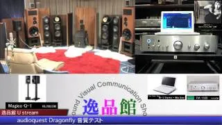 audioquest Dragonfly 音質テスト