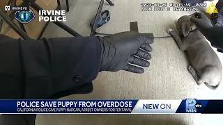 Police save puupy from overdose