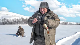 Крупные окуни маленького озера. Рыбалка на Ямале | С Полем!