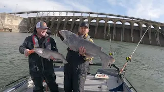 "Pickwick Dam Pigolas" | Season 2 Episode 9 | Catfish Crazy