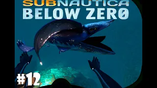 | Subnautica Below Zero | Огромный кит и куча всего нового #12