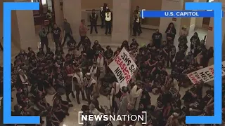 Protesters in US Capitol call for ceasefire in Israel-Hamas conflict | NewsNation Now