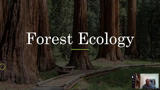 Forest Ecology- Part 1