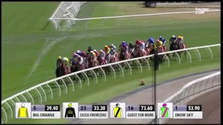 2015 Melbourne Cup - Prince of Penzance