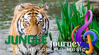 Have you ever listened to the Singing Forest | Jungle band | jungle happy man | jungle lyrics |