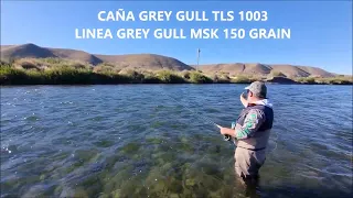 TIPS PARA TIRAR CON LA LINEA GREY GULL MICRO SKAGIT  MSK con @escuelaargentinadepescacon5684