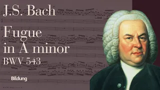 J.S. Bach - Fugue in A minor BWV 543 | Albert Schweitzer (1935)
