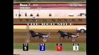 2004 Red Mile ROYAL MATTJESTY Allerage Farm Pace