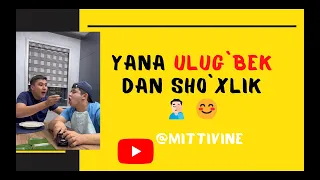 Mittivine | Yana ULUGE`BEK dan sho`xlik 😊  #mittivine #mittime #littelar