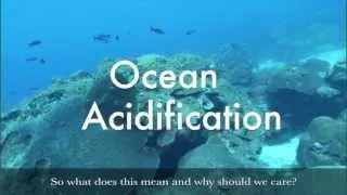 Making Waves podcast: Ocean Acidification