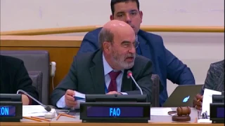 FAO focus on breaking the cycle between conflict and hunger