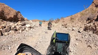 Nevada Adventure Riding: Burrow Wash