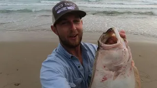 How to Catch Halibut in The Surf, Catch and Cook - Ventura California