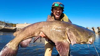 2 HOURS Getting DESTROYED By GIANT SPILLWAY CATFISH!!! — Loading The Boat with RIVER MONSTERS!!!