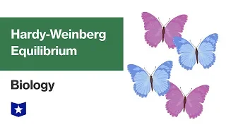 Hardy-Weinberg Equilibrium | Biology