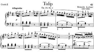 Piano Pieces for Children Grade 2 No.28 Lichner Op.111 No.4 Tulip (P.43) Sheet Music