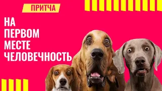 Притча. На первом месте человечность