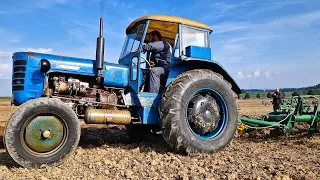 Beautiful Old Tractors | Traktory Mahouš 2022