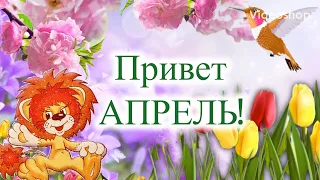 Привет Апрель👋🏻С 1 Апреля😊С Добрым Апрельским Утром🌞Музыкальная Открытка С Пожеланием