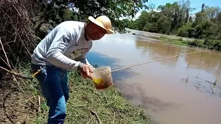 Como pesca de barranco e fazer peixe frito na beira do rio com acompanhamento de tomate e cebola