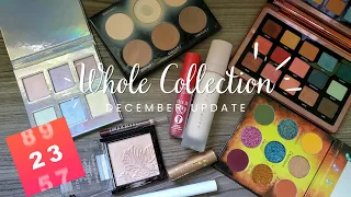 Whole Collection Project Pan 2023 | FINALE ft. Ana Luisa