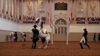 Вена. Знаменитый конный балет