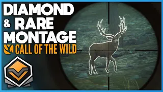 Diamond & Rare Montage #3 | theHunter: Call Of The Wild