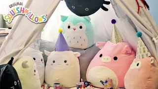 Squishmallow Collections - Slideshow Video | Squishmallows