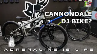 A Dirt Jump Bike You Probably Never Heard of | The Cannondale Dave