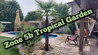 Zone 5b September Tropical Garden Tour, Ontario Canada. #garden #tropicalgarden