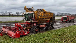 Nothing can stop this Beet Beast! | Extreme wet harvest | Agrifac on tracks | W. Berkers - Deurne