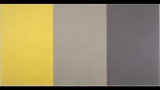 Brice Marden, Range