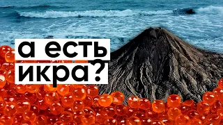 Первый день на Камчатке / Неправильное путешествие #34