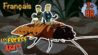 Aventure miniature [épisodes complets] Les Frères Kratt