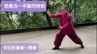 形意拳 劈拳 暗勁練法教學  #形意拳 #八卦掌 #太極拳#劈拳#xingyi #bagua #qigong #中国武术 #暗勁#xingyiquan#qigong#kungfu#chikung