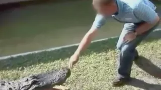 Idiot man vs crocodile