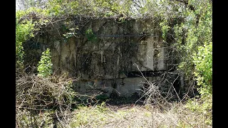 Ghost Town in The Green Swamp