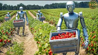 How Robots Harvest Millions of Acres of Farmland Every Day, The Most Modern Agriculture Machines▶1