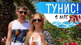 Тунис! | Один день пакетника