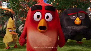 The Angry Birds Movie: The legendary Mighty Eagle (HD CLIP)