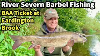 River Severn Barbel Fishing at BAA Eardington Brook - Near Bridgnorth!